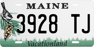 ME license plate 3928TJ