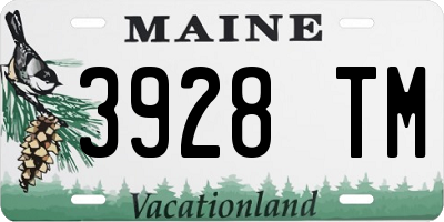 ME license plate 3928TM