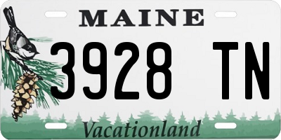 ME license plate 3928TN