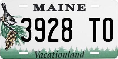 ME license plate 3928TO