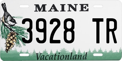 ME license plate 3928TR