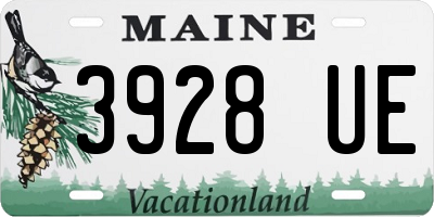 ME license plate 3928UE