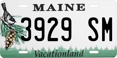 ME license plate 3929SM