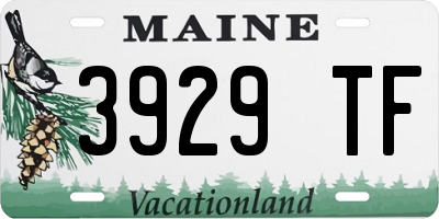ME license plate 3929TF