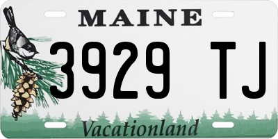 ME license plate 3929TJ