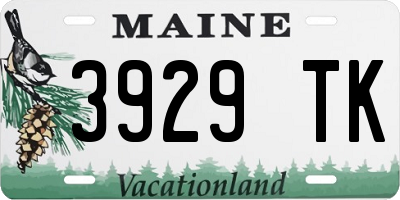 ME license plate 3929TK