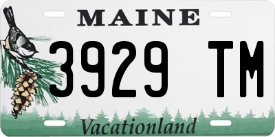ME license plate 3929TM