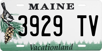 ME license plate 3929TV