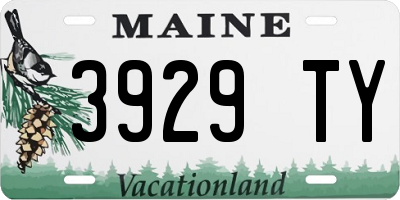 ME license plate 3929TY