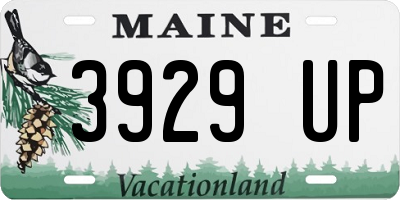ME license plate 3929UP