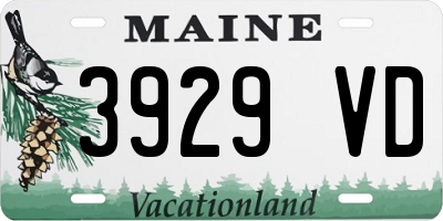 ME license plate 3929VD