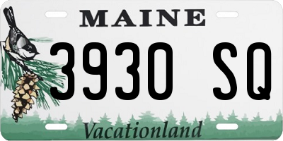 ME license plate 3930SQ
