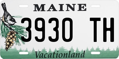 ME license plate 3930TH