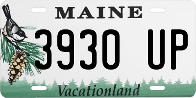 ME license plate 3930UP