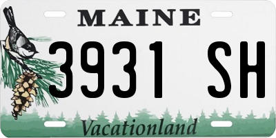 ME license plate 3931SH