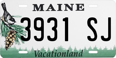 ME license plate 3931SJ