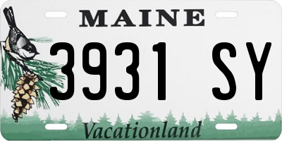 ME license plate 3931SY
