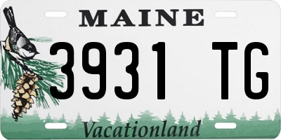 ME license plate 3931TG
