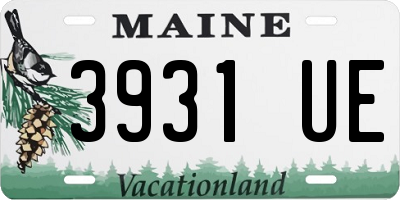 ME license plate 3931UE