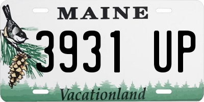 ME license plate 3931UP