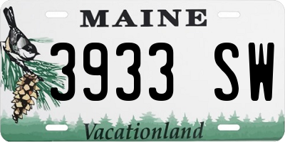 ME license plate 3933SW
