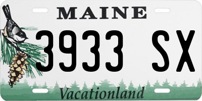 ME license plate 3933SX