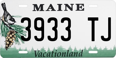 ME license plate 3933TJ