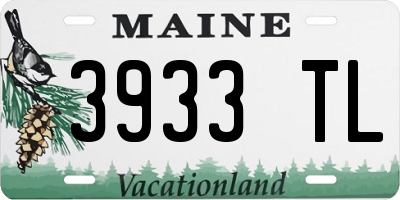 ME license plate 3933TL
