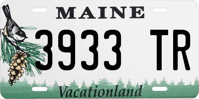 ME license plate 3933TR