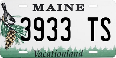 ME license plate 3933TS