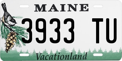 ME license plate 3933TU