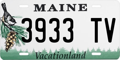ME license plate 3933TV