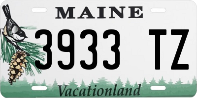 ME license plate 3933TZ