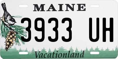 ME license plate 3933UH