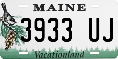 ME license plate 3933UJ