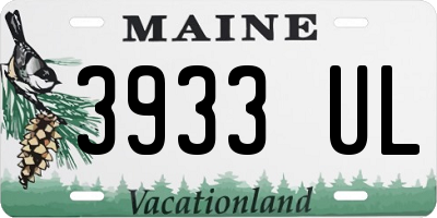 ME license plate 3933UL