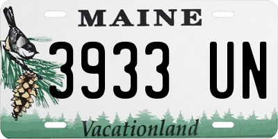 ME license plate 3933UN