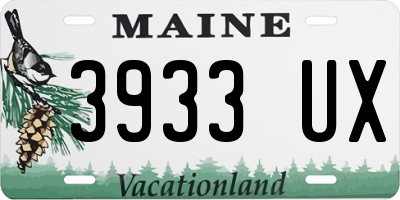 ME license plate 3933UX