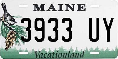 ME license plate 3933UY