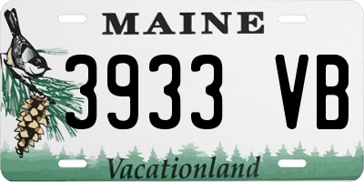 ME license plate 3933VB