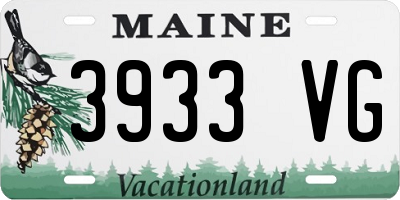 ME license plate 3933VG