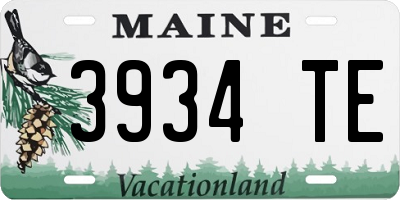 ME license plate 3934TE