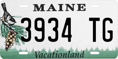 ME license plate 3934TG
