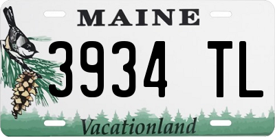 ME license plate 3934TL