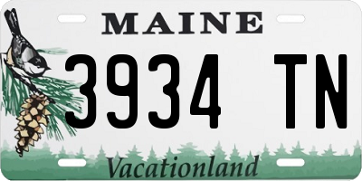 ME license plate 3934TN