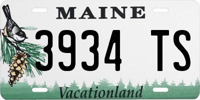 ME license plate 3934TS