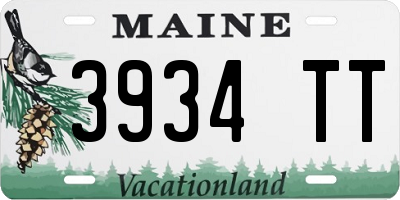 ME license plate 3934TT