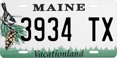 ME license plate 3934TX
