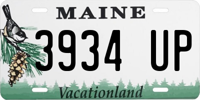 ME license plate 3934UP