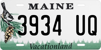 ME license plate 3934UQ